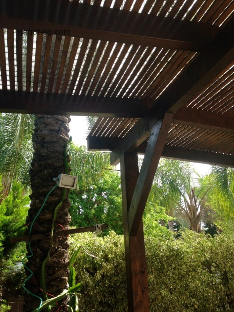 פרגולה דקורטיבית