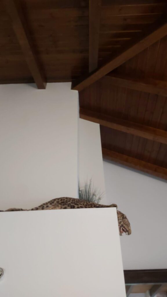 גג חשוף עם מגרעות